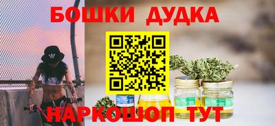 МДПВ Будённовск