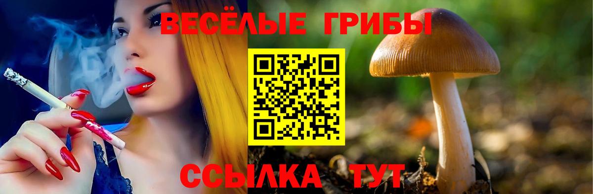Псилоцибиновые грибы ЛСД  Вход с VPN  Киреевск 
